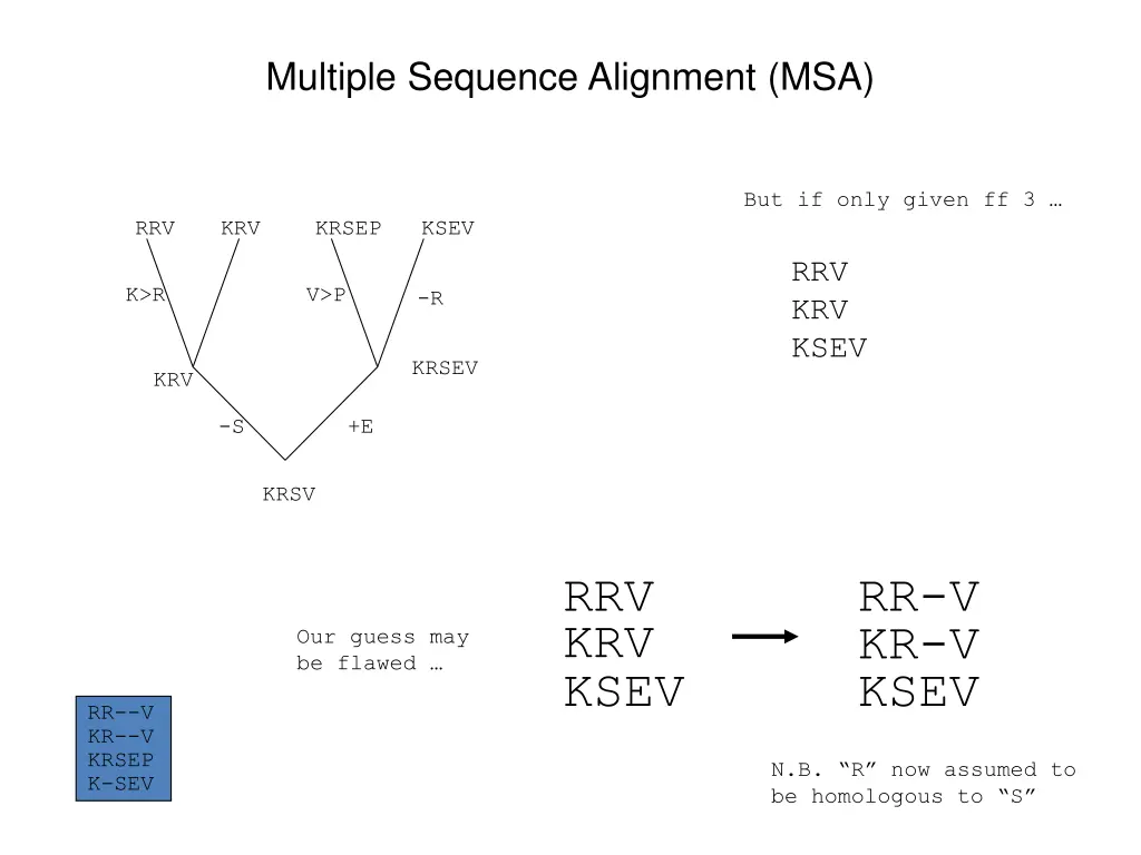 multiple sequence alignment msa 2