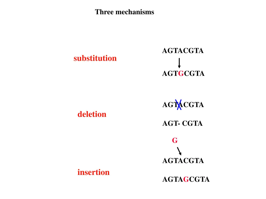 three mechanisms