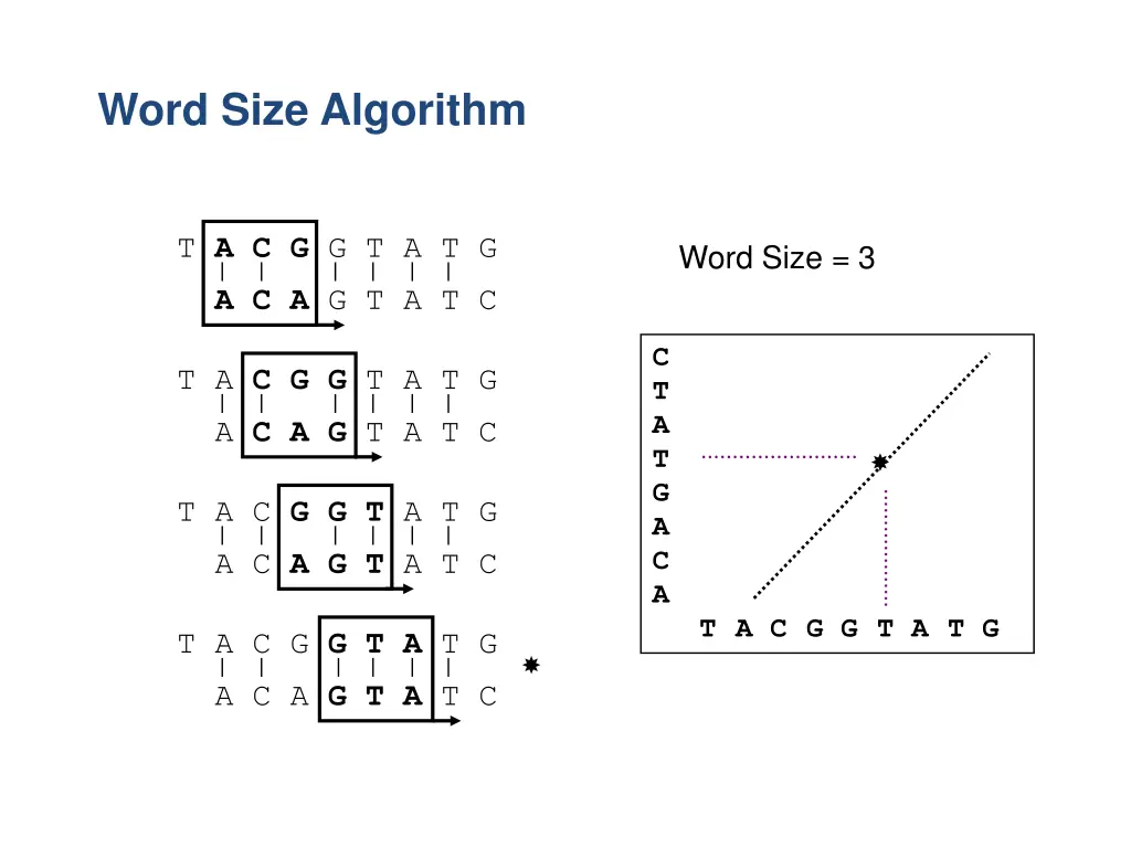 word size algorithm