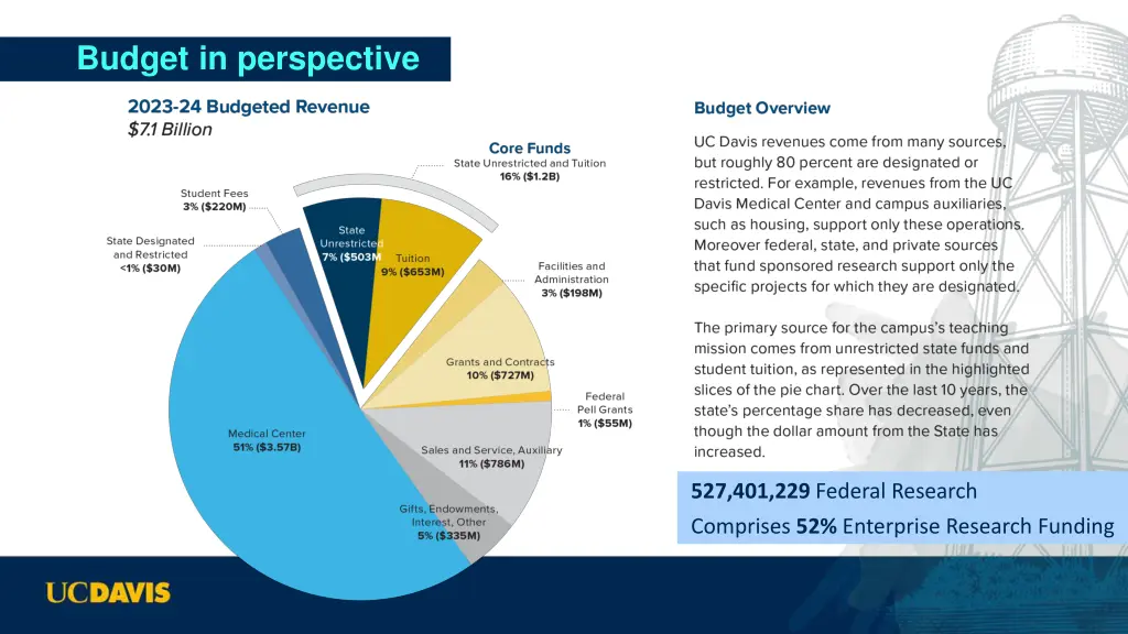 budget in perspective