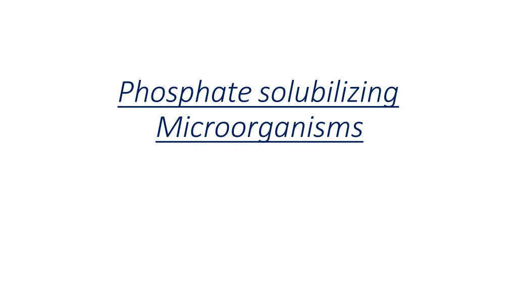 phosphate solubilizing microorganisms