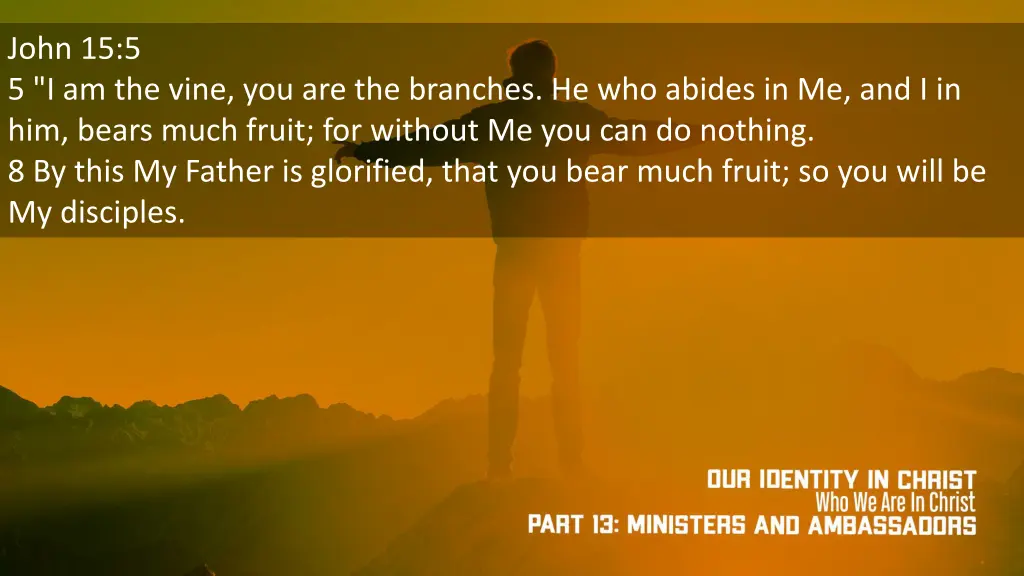john 15 5 5 i am the vine you are the branches