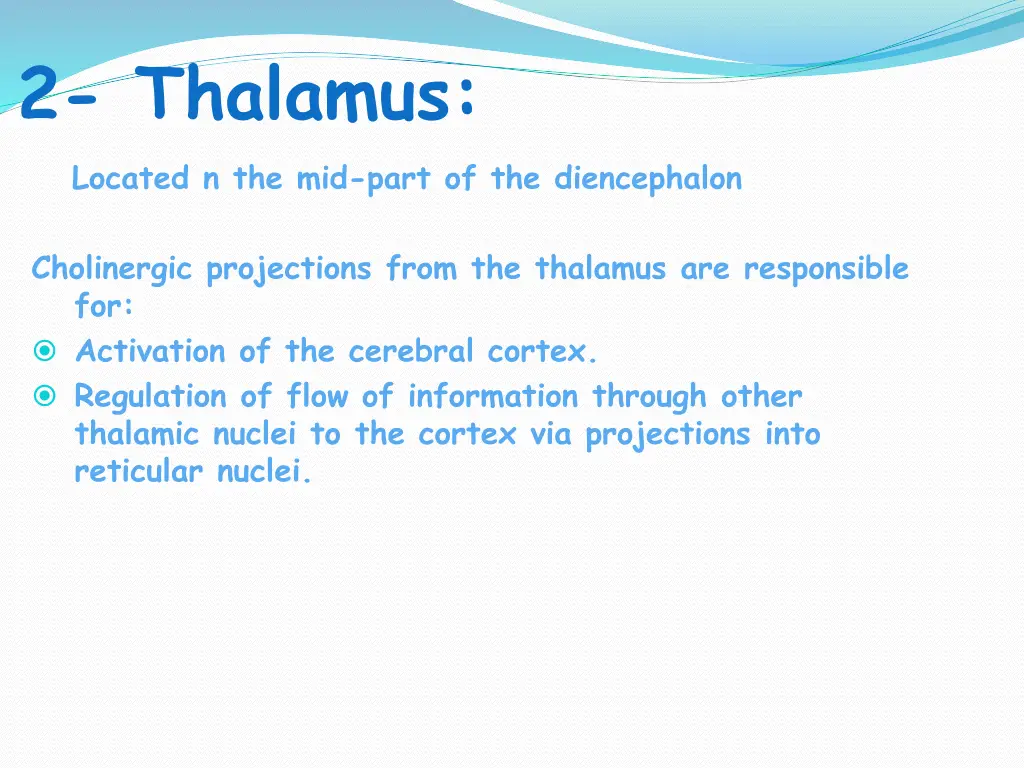 2 thalamus located n the mid part