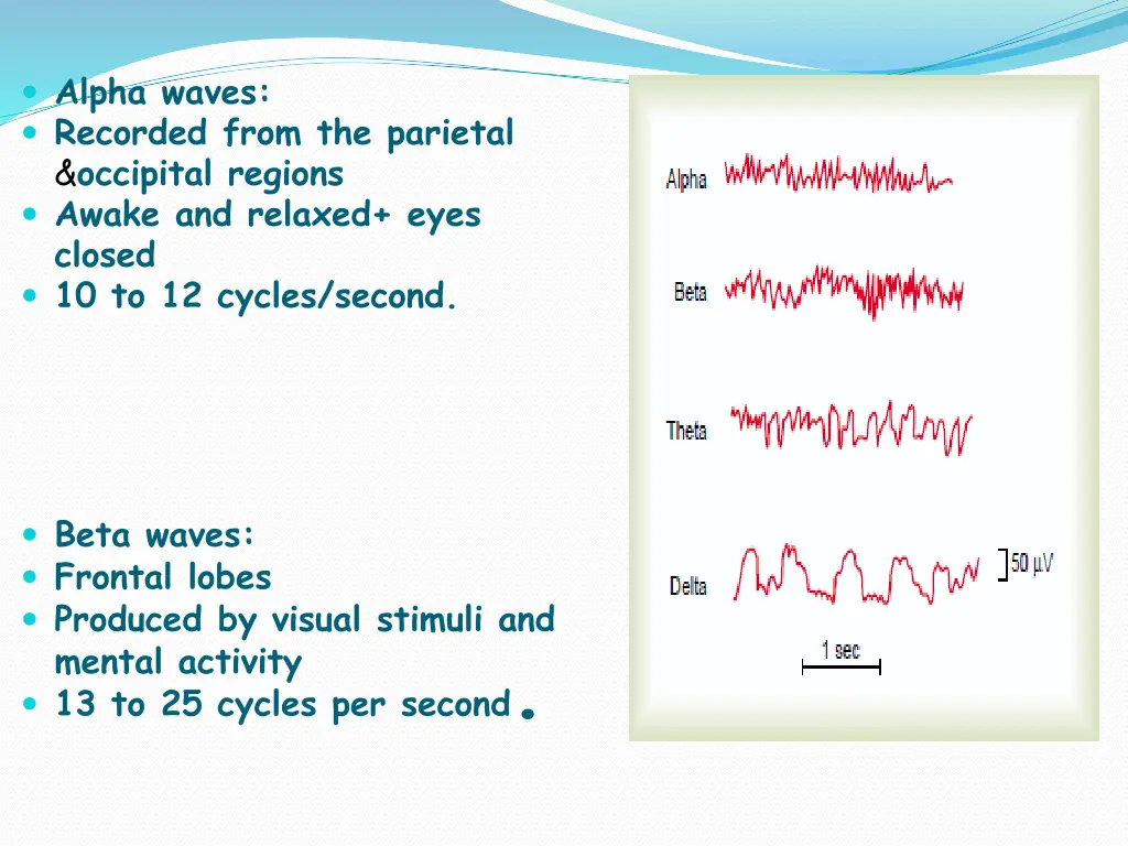 alpha waves recorded from the parietal occipital