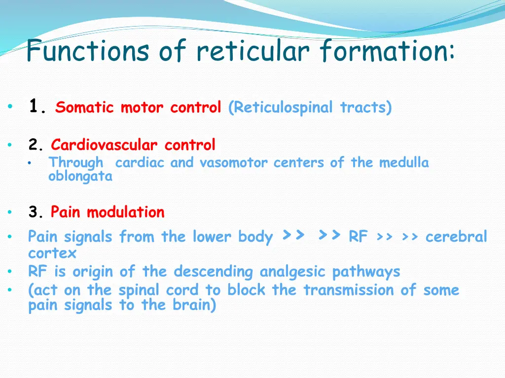 functions of reticular formation