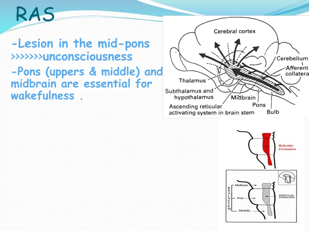 slide19