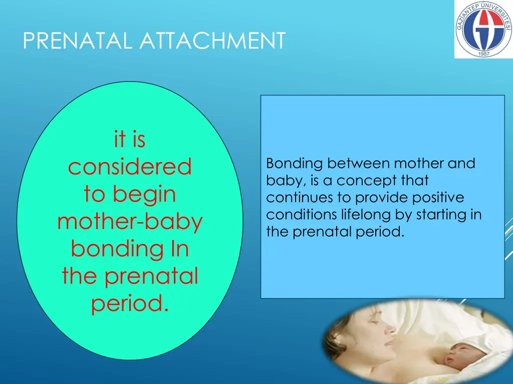 prenatal attachment