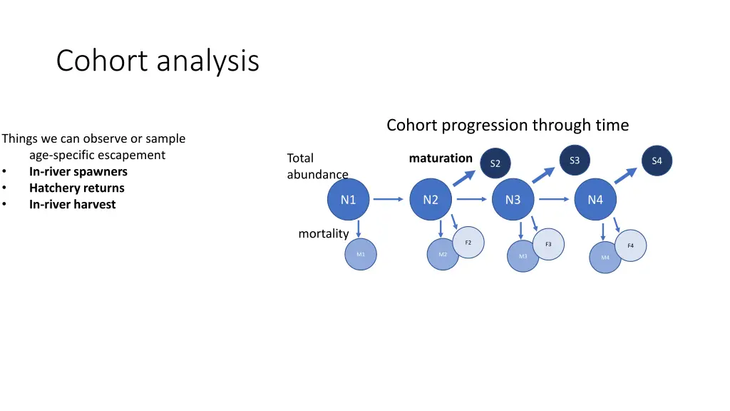 cohort analysis