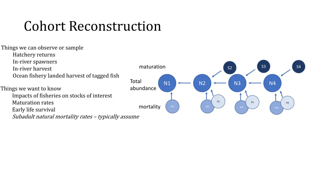 cohort reconstruction