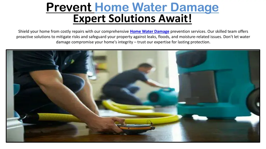prevent home water damage expert solutions await