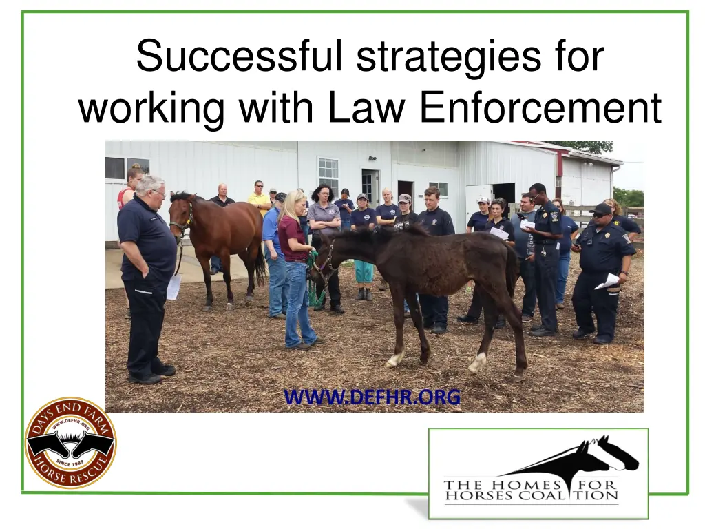successful strategies for working with