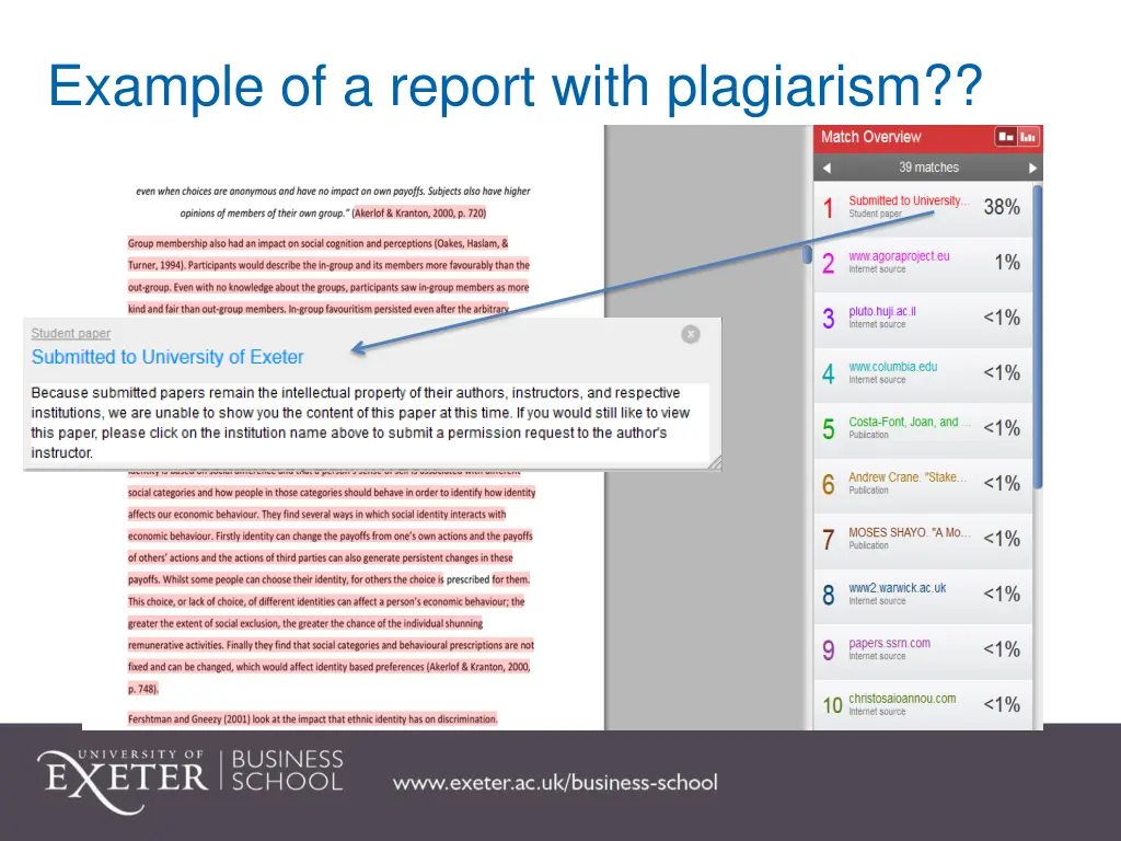 example of a report with plagiarism 1