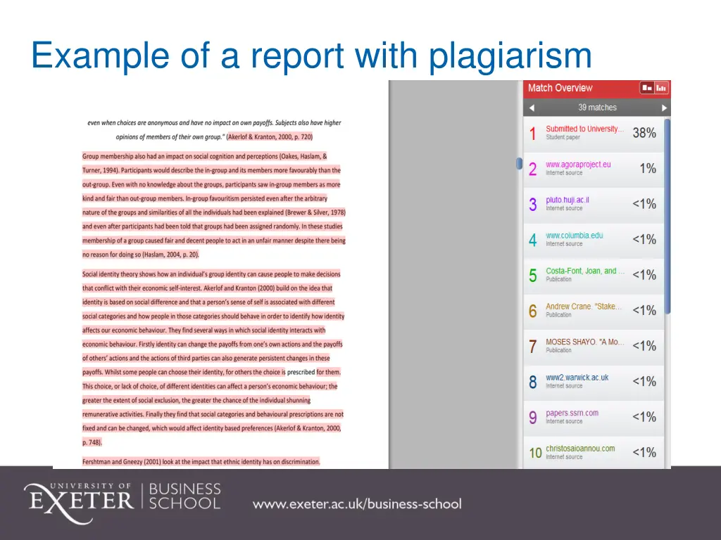 example of a report with plagiarism