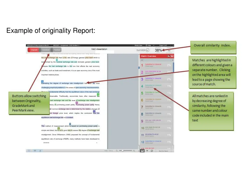 example of originality report