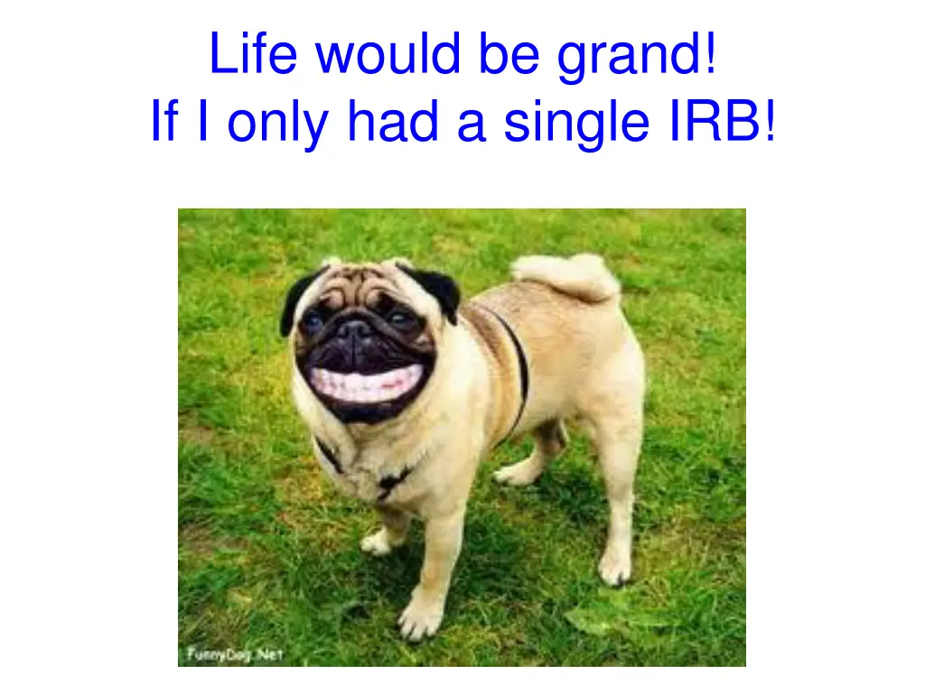 life would be grand if i only had a single irb