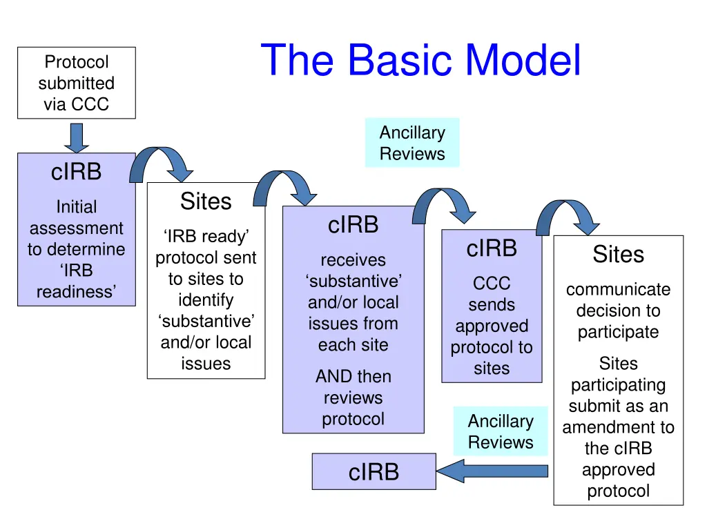 the basic model