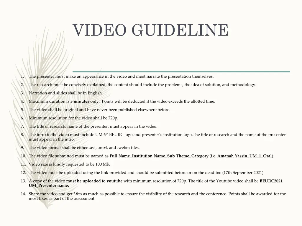 video guideline