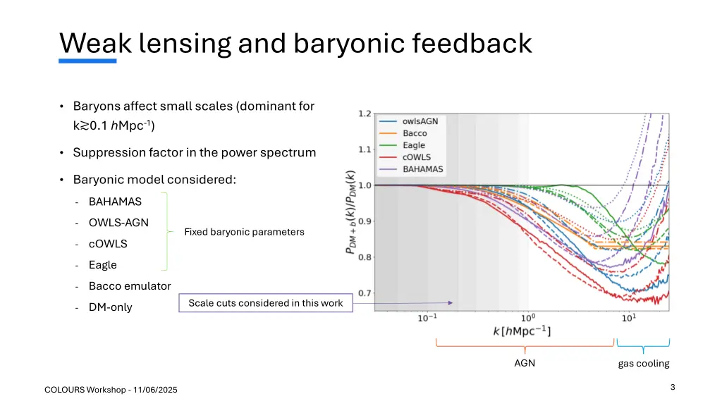 weak lensing and baryonic feedback
