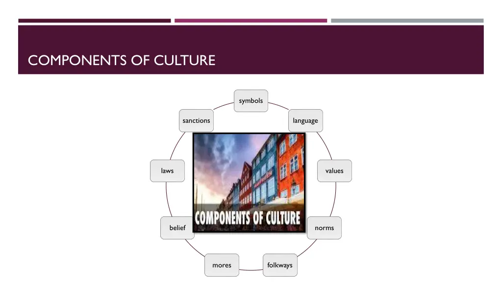 components of culture