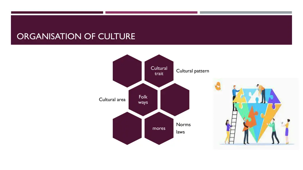 organisation of culture