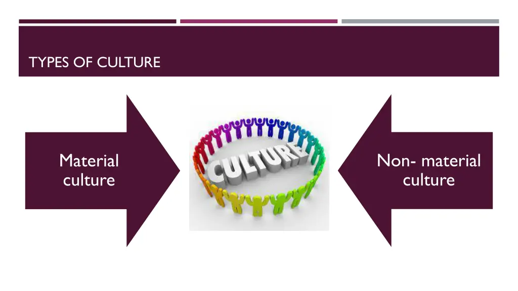 types of culture