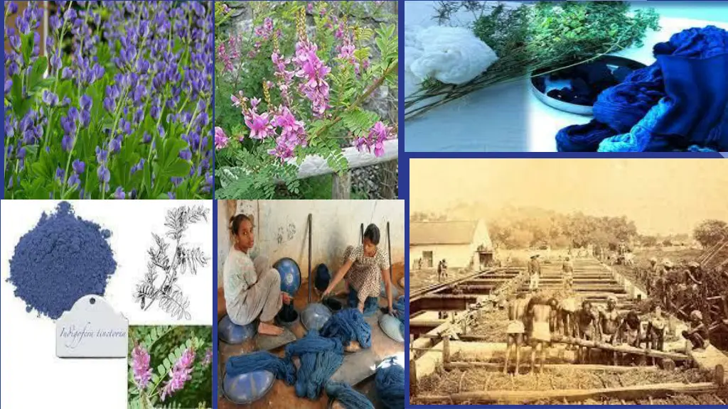 slide12