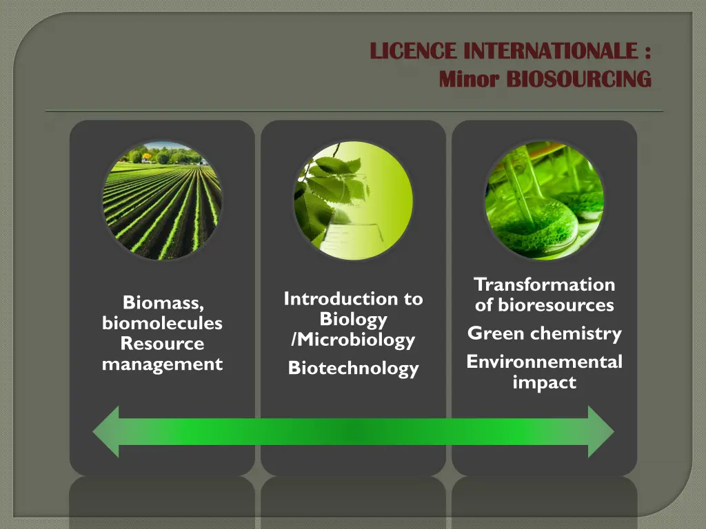 licence internationale licence internationale 1
