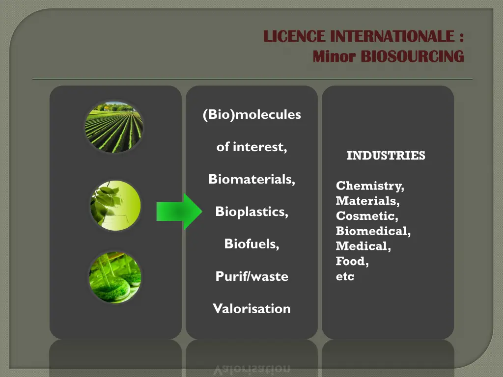 licence internationale licence internationale 2