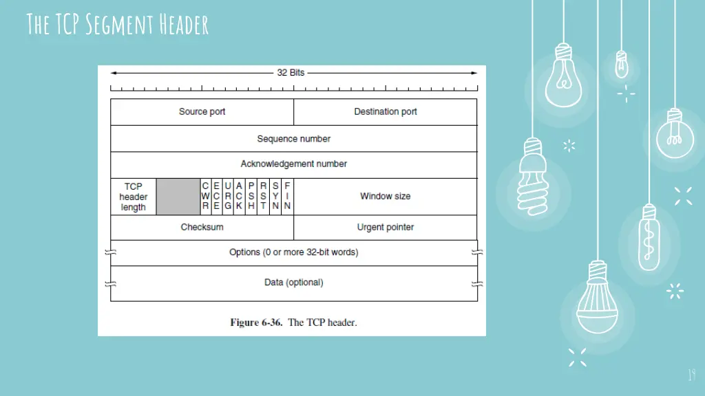 the tcp segment header