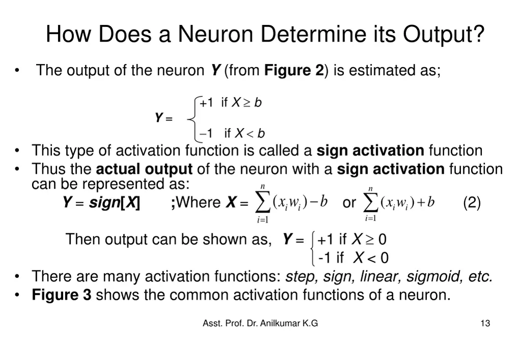 how does a neuron determine its output 1