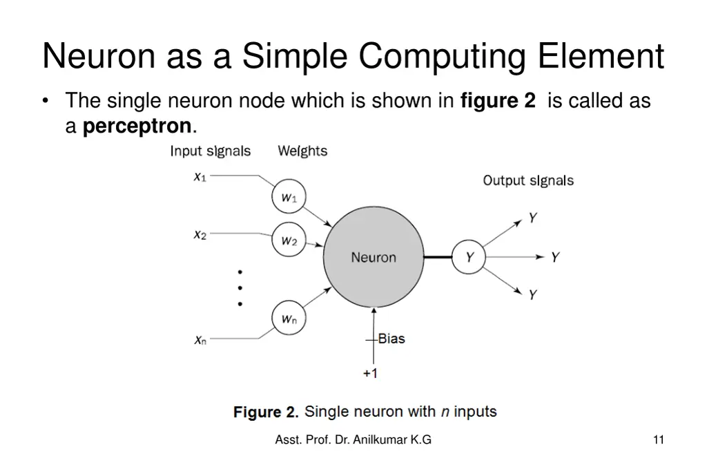 neuron as a simple computing element