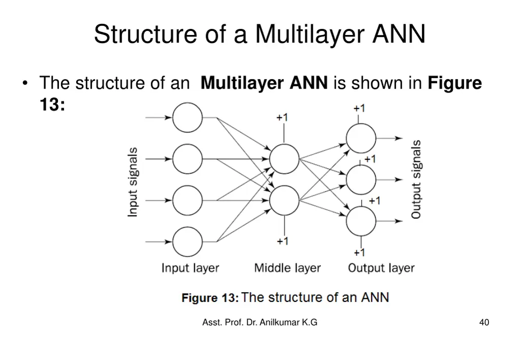 structure of a multilayer ann