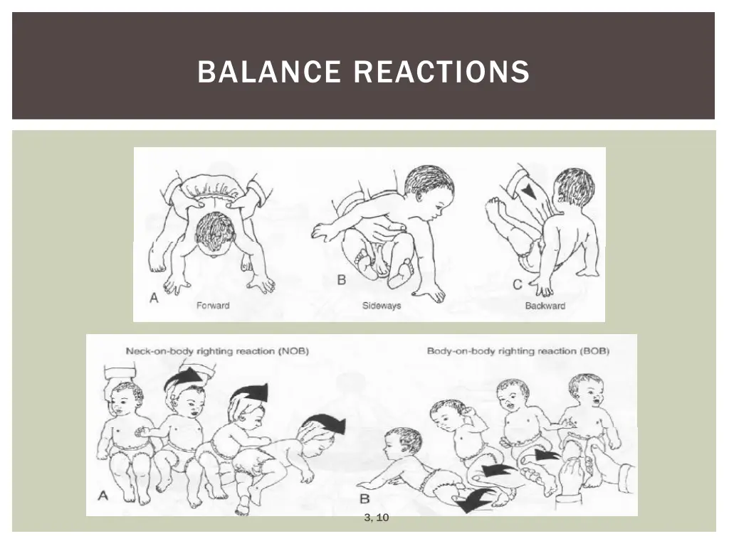 balance reactions