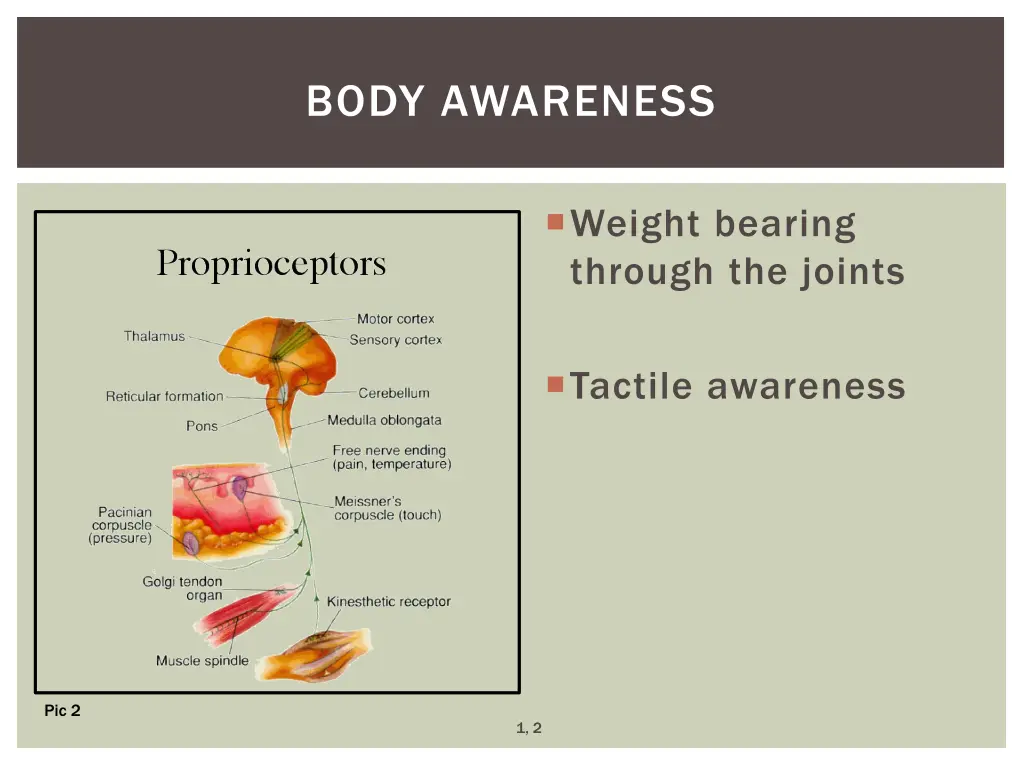 body awareness