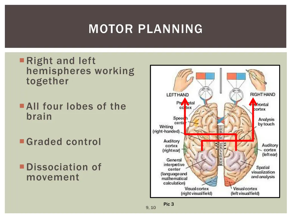 motor planning