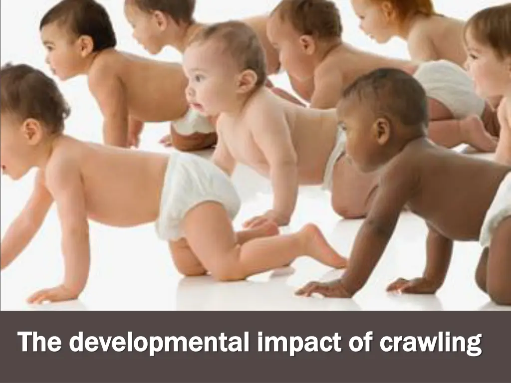 the developmental impact of crawling