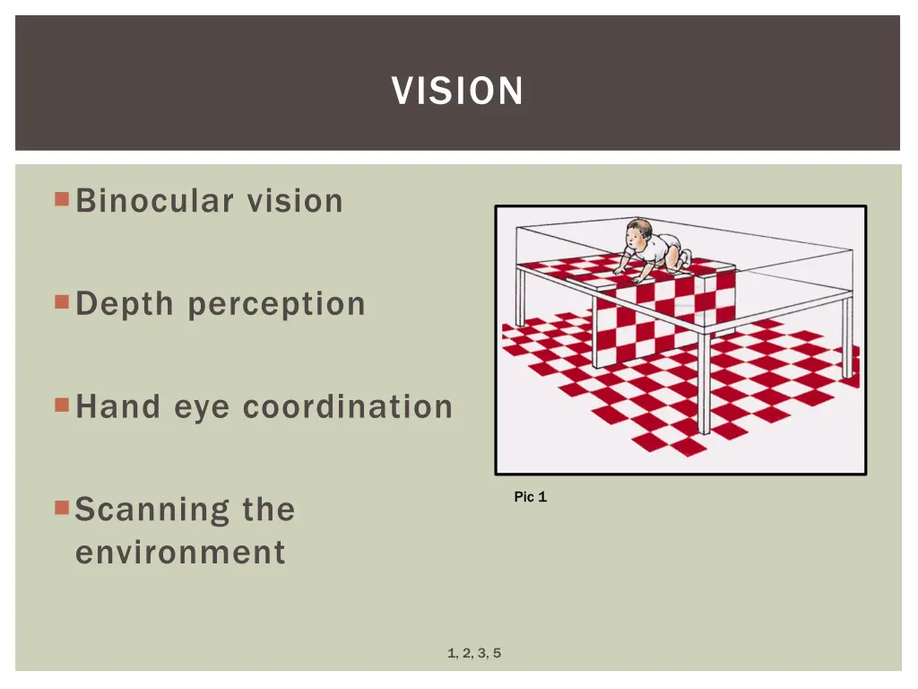 vision