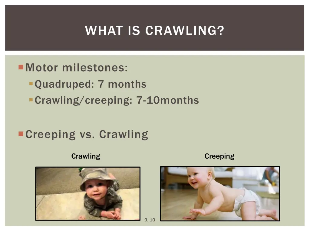 what is crawling