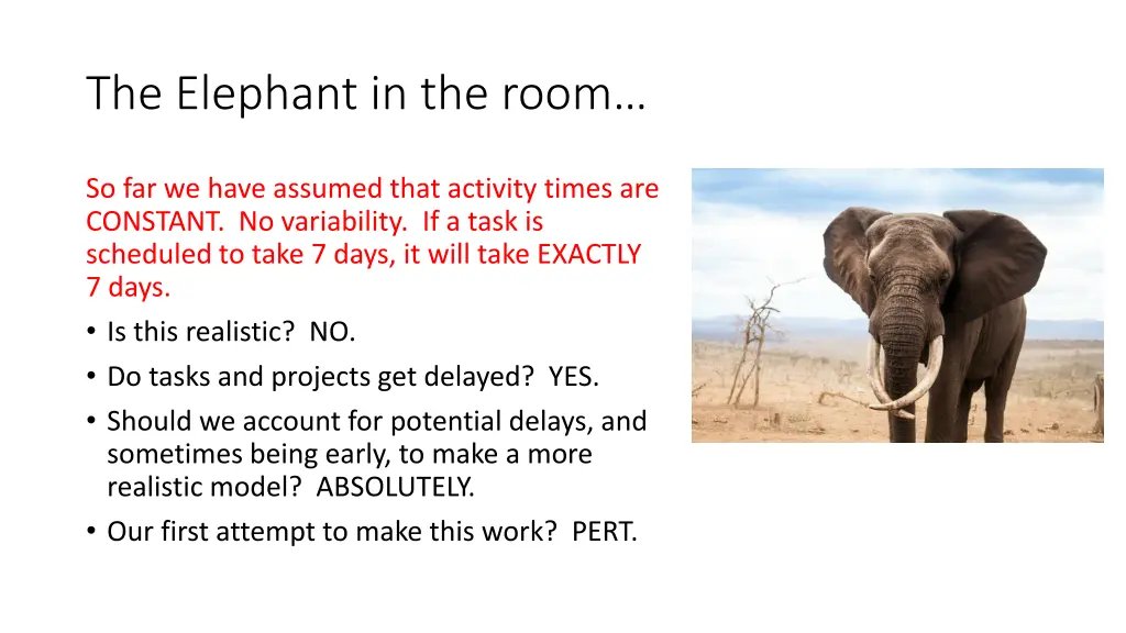 the elephant in the room