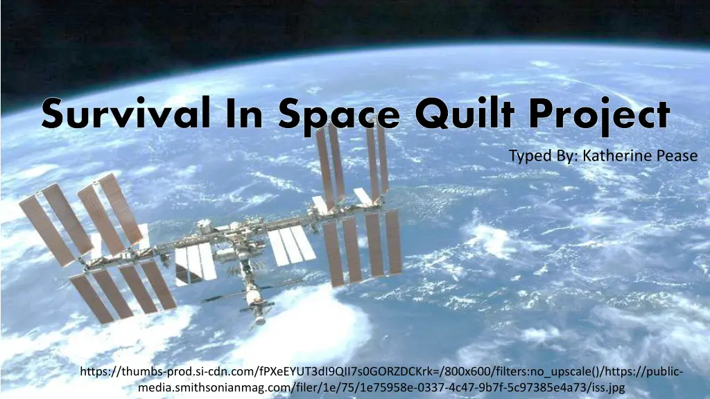 survival in space quilt project