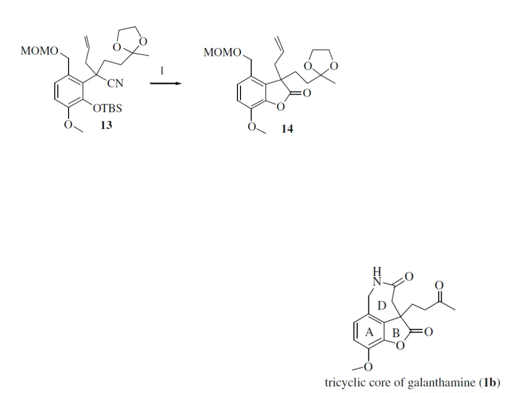 slide31