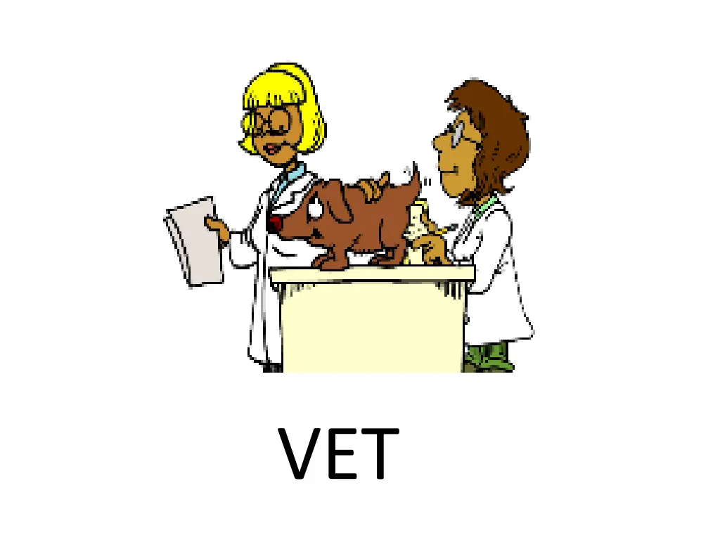 slide3