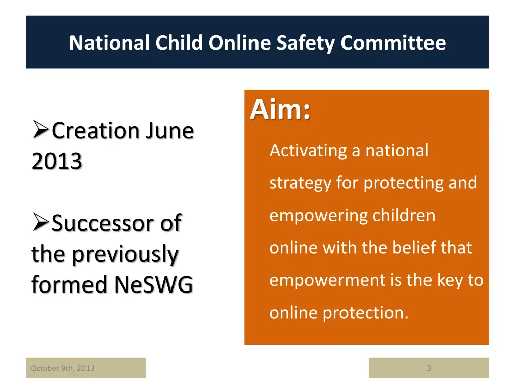 national child online safety committee