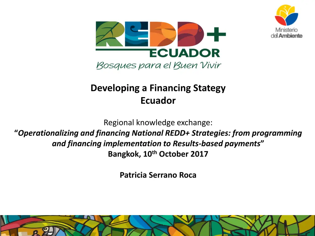 developing a financing stategy ecuador
