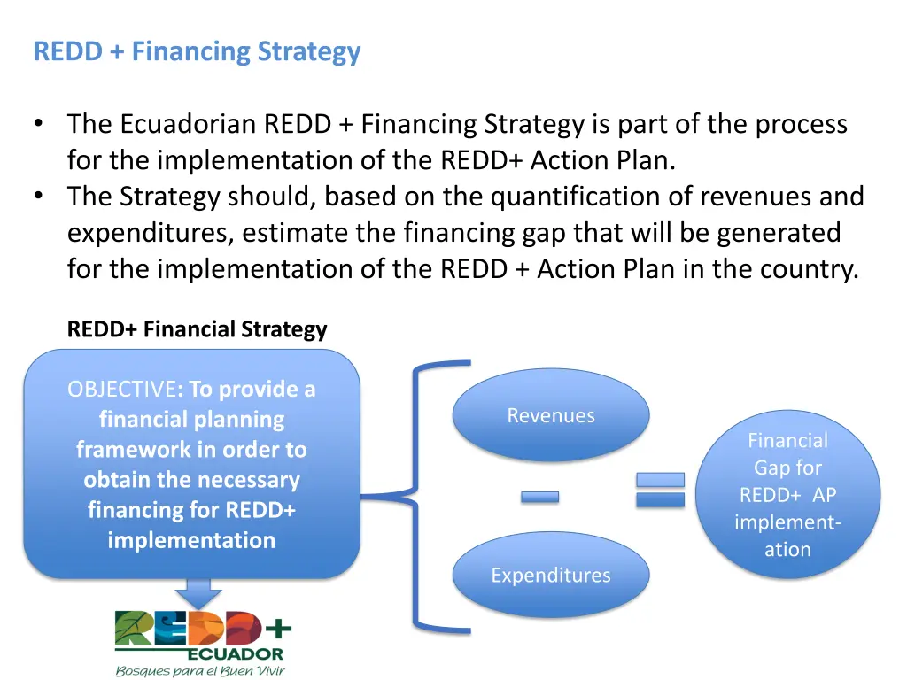 redd financing strategy