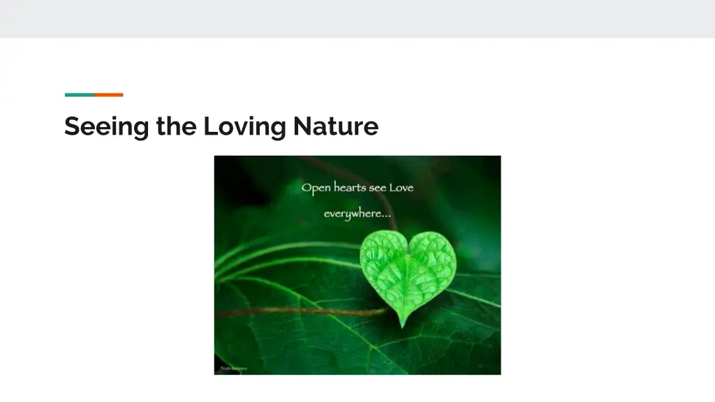 seeing the loving nature