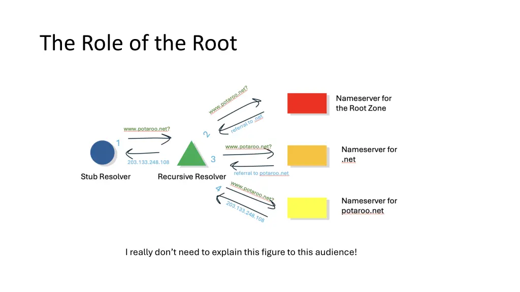 the role of the root