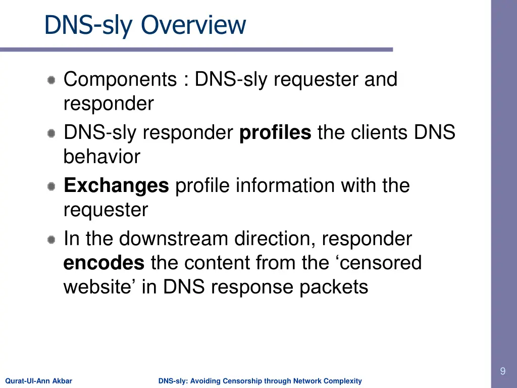 dns sly overview