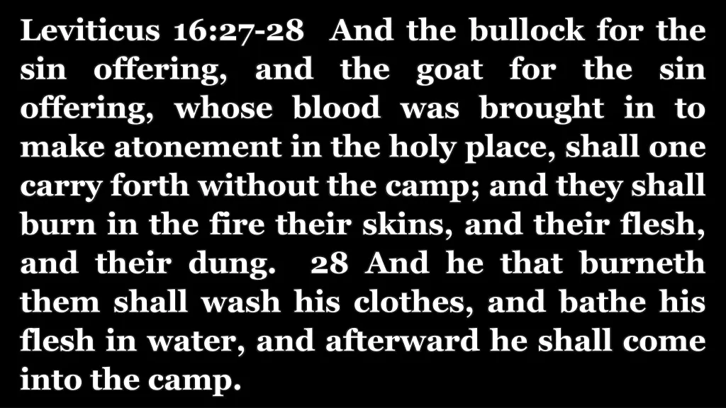 leviticus 16 27 28 and the bullock