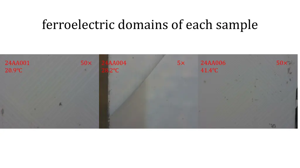 ferroelectric domains of each sample